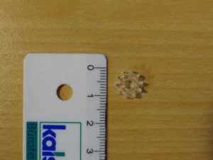 kleines Zahnrad (d=7mm, z=10)